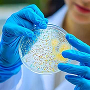 Lebensmittelhygiene