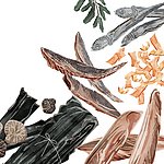 Questi sono gli ingredienti di base per una zuppa dashi.