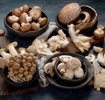Substrati nutritivi per la coltivazione dei funghi: Sterilizzare e "inoculare”