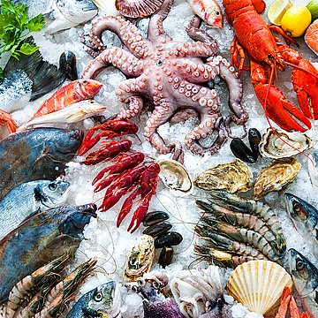amixon® Mischer für "Seafood"-Instantprodukte