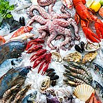 I frutti di mare sono altamente deperibili. 