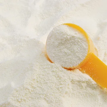 Dairy / Milchpulver / Infant Formula