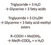 Oleochemie