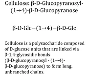 Beta-glycosidische Bindung