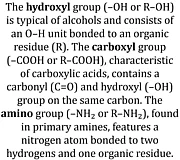 Hydrophil