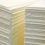 시트의 건조 펄프