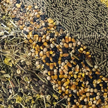 Alimenti per animali domestici