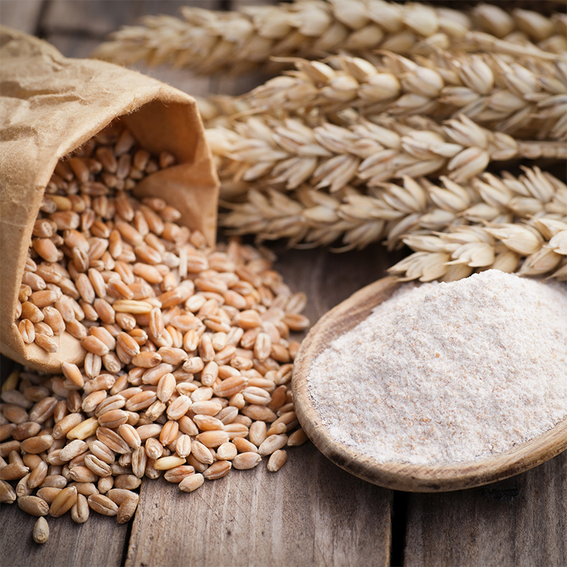 Il valore nutrizionale dei grani viene analizzato