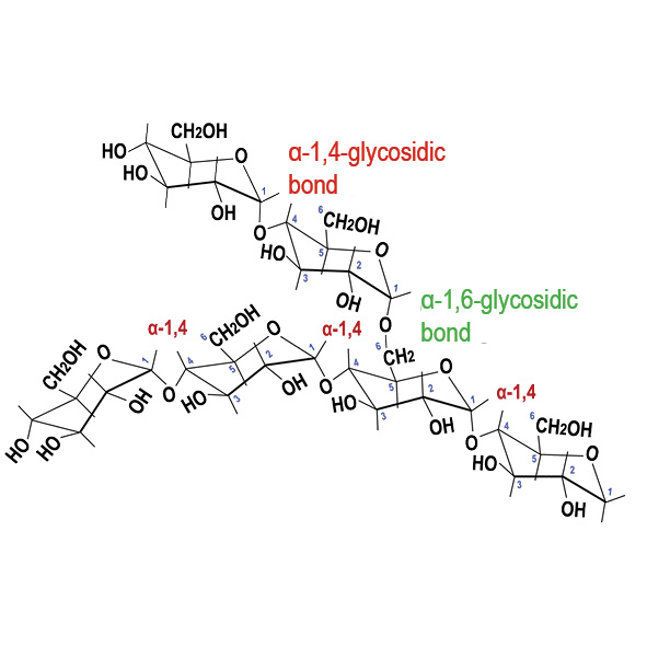 Glycosidic cross-linked starch molecules