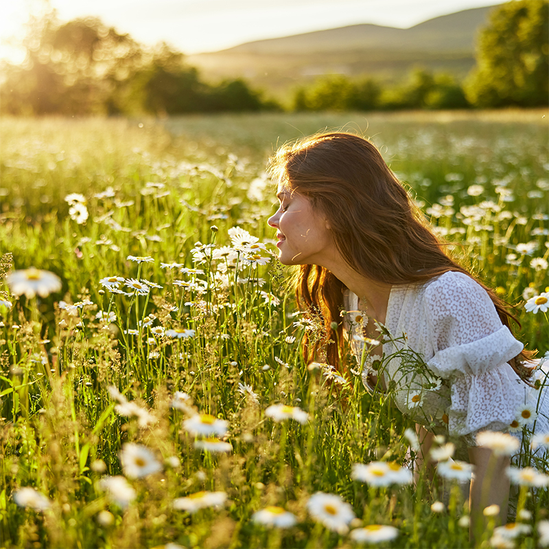 Gaseous fragrance molecules disperse in the air by diffusion.